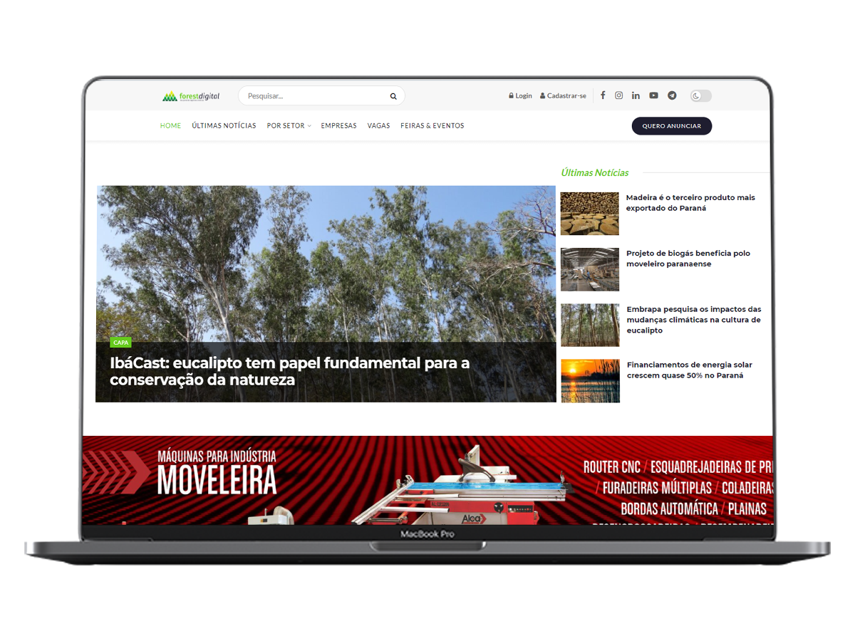 site Portal de Notícias Forest Digital